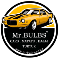 Mr. Bulbs